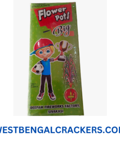 Flower Pots Big B (10Pcs)