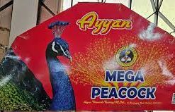 MEGA PEACOCK(1 Box)