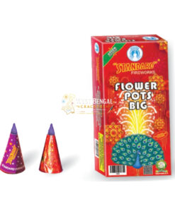 Flower Pots Big (10 Pcs)