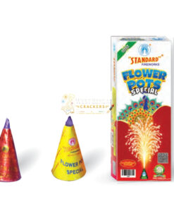 Flower Pots Special (10 Pcs)