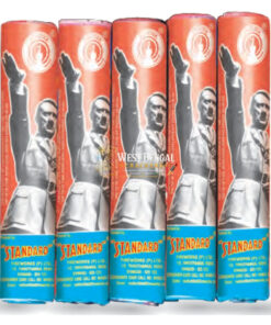 Hitler (10 CM 5 Pcs)